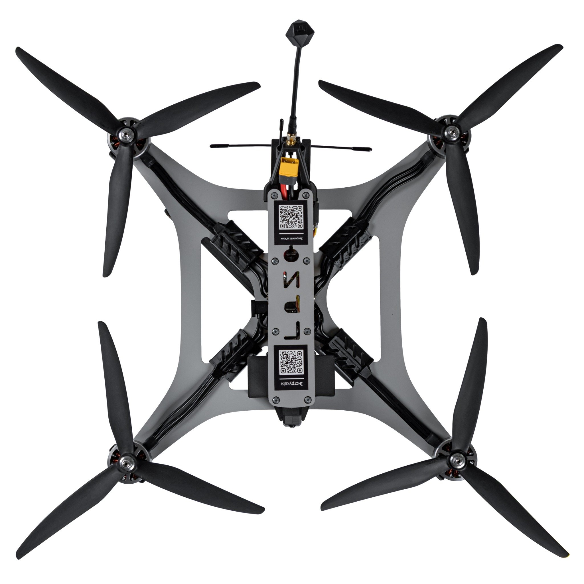 Гриф-Про вигляд зверху